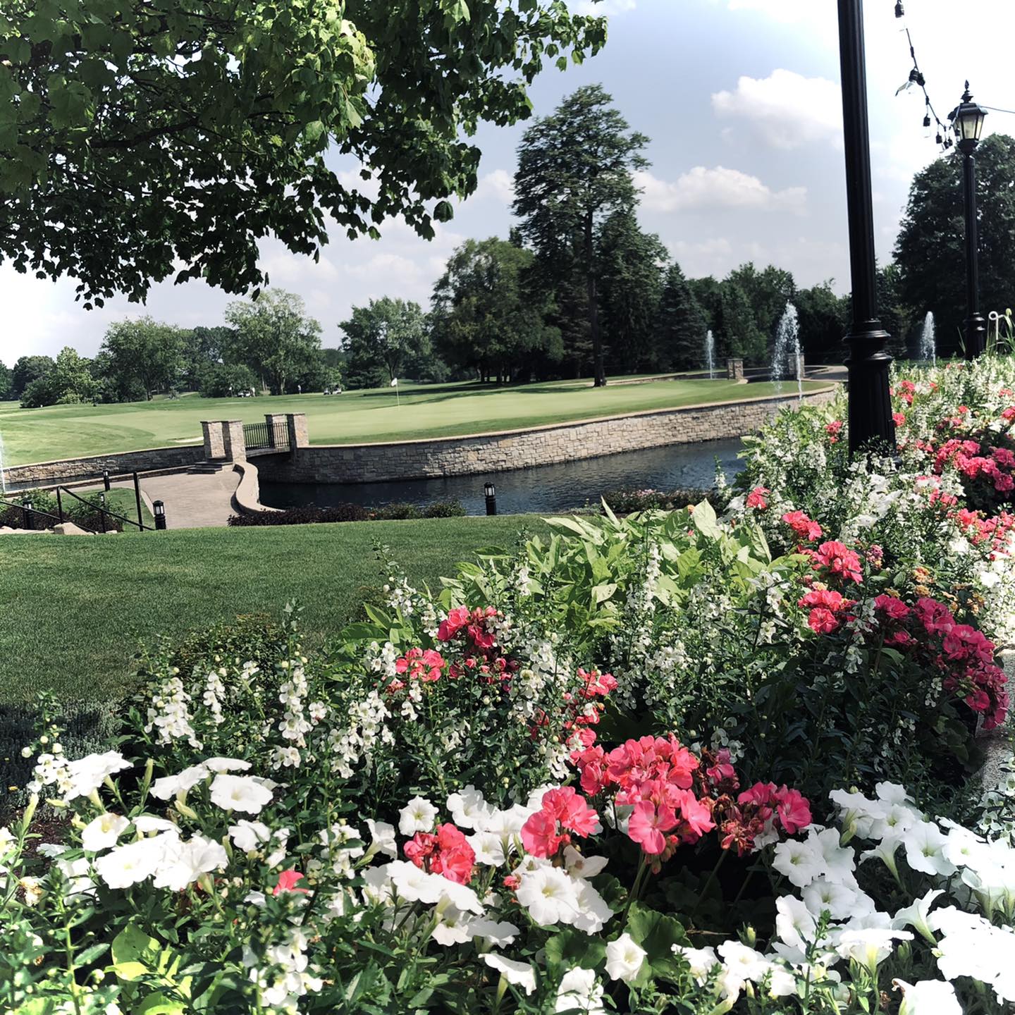 Fountain_Scenery